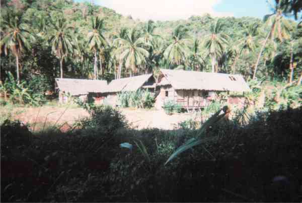 Houses On Ko Phi Phi Don