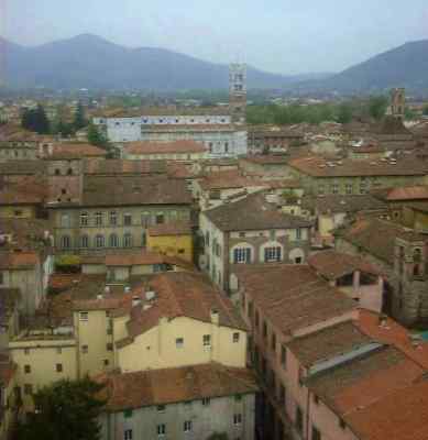 LuccaFromTorreGuinigi1.jpg