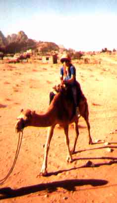 camel-tracy